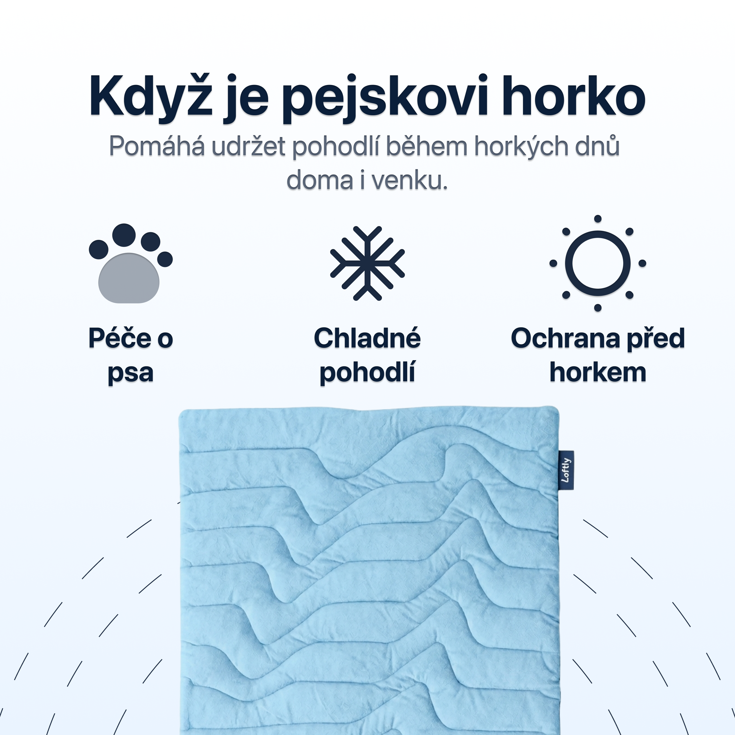 Podložka