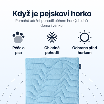 Podložka