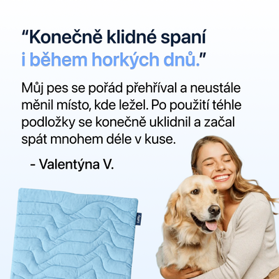Podložka